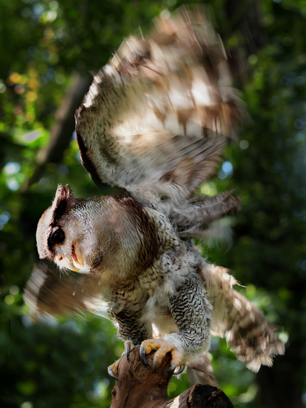 v2?sig=a4634fd29cf818e45ab5948106a262a20b612a6cf60762959406003ca94de2de