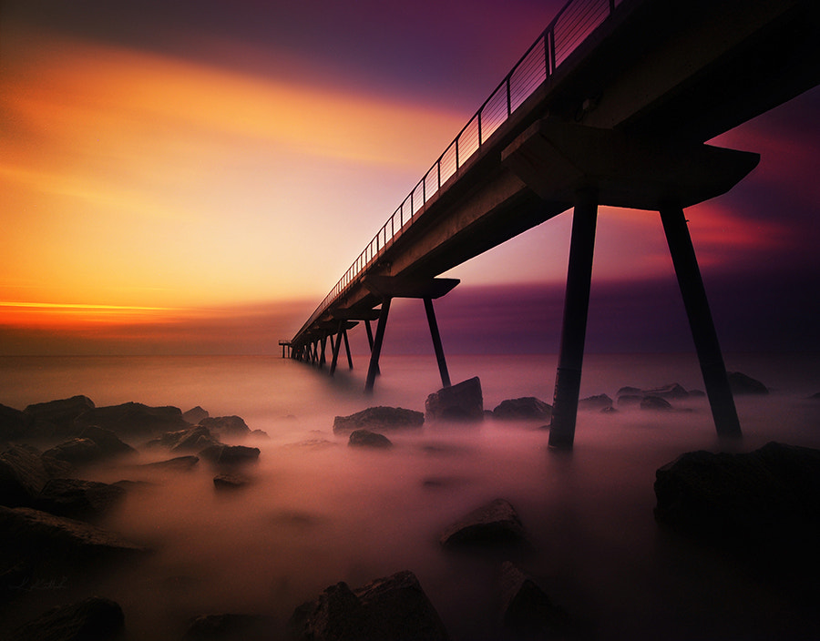 Nikon D700 sample photo. Pont del petroli ii photography