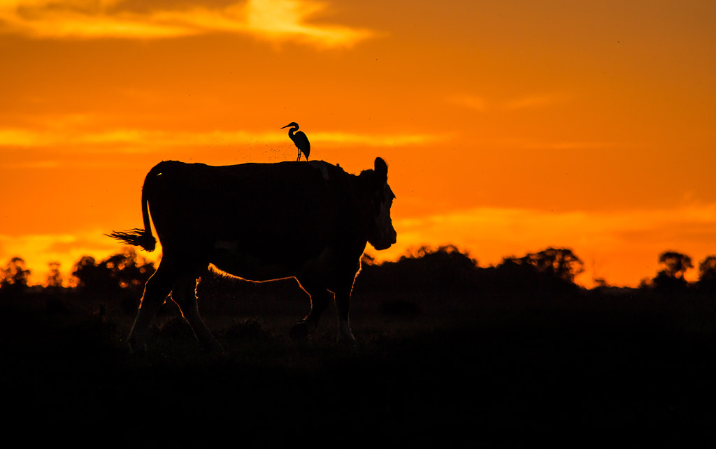 Subí que te llevo by Facu de lellis on 500px.com