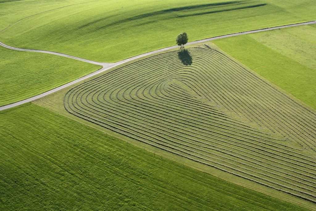 The Art of Mowing by Markus Huber on 500px.com