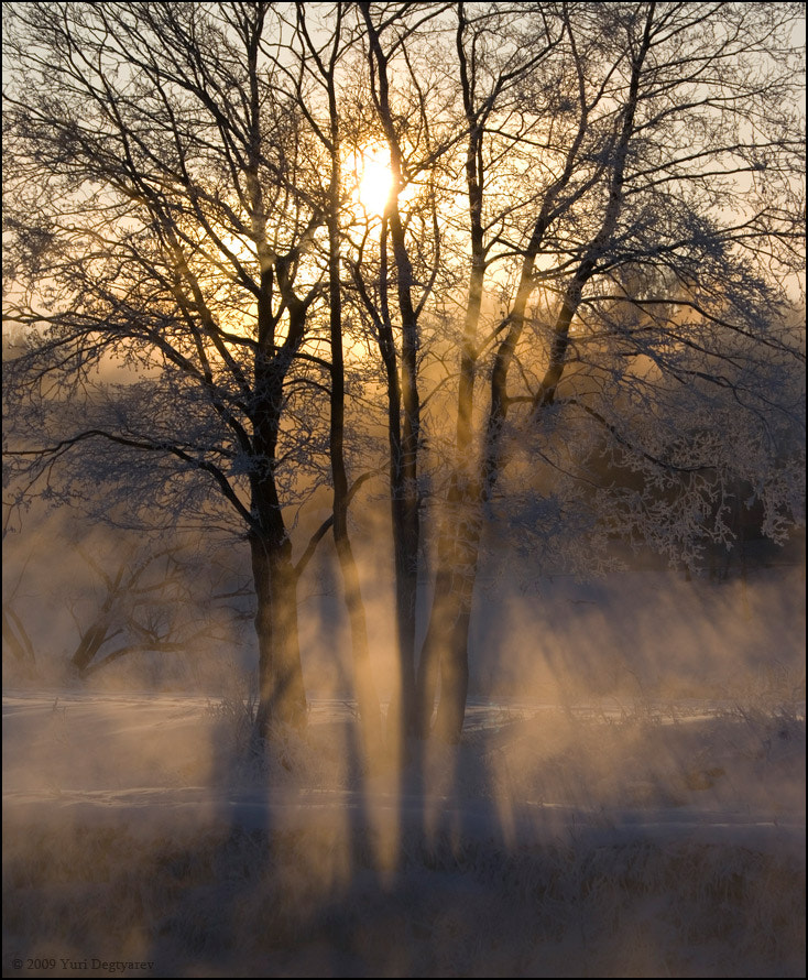 Winter dawn.