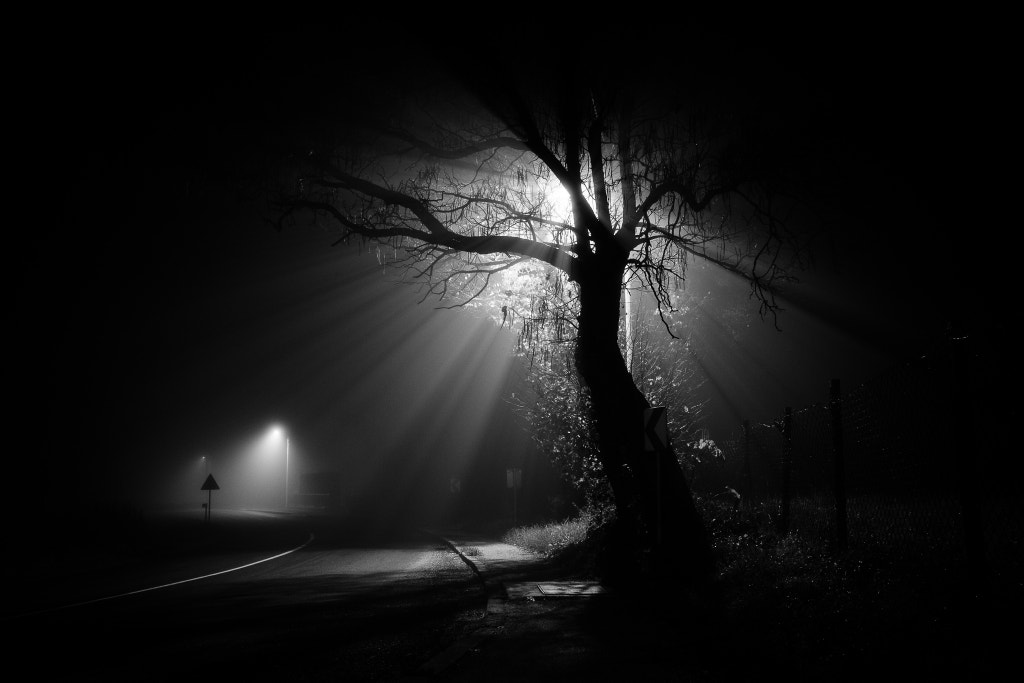 Silent Hill by Slaven Janđel on 500px.com