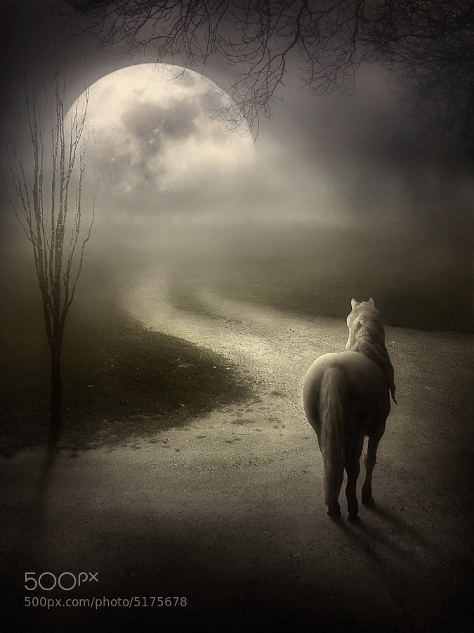 Photograph Journey to the Moon by Jenny Woodward on 500px