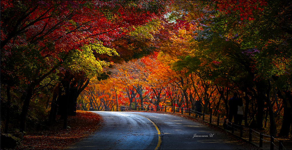 Autumn Road by Jaewoon U on 500px.com