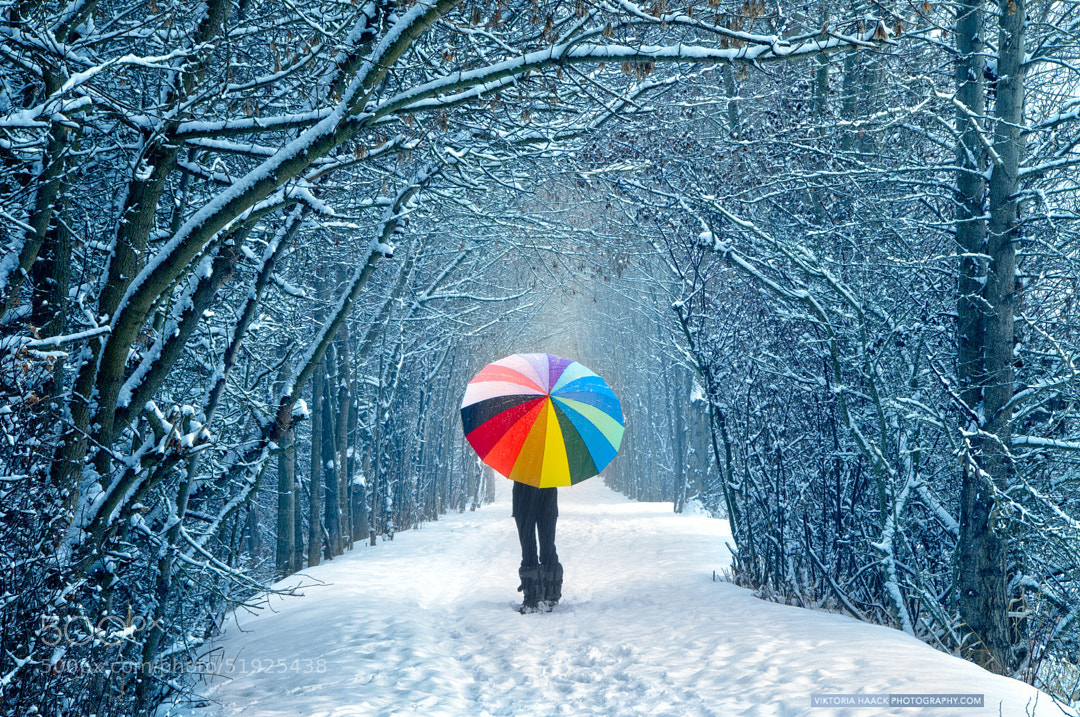 the silence of snow