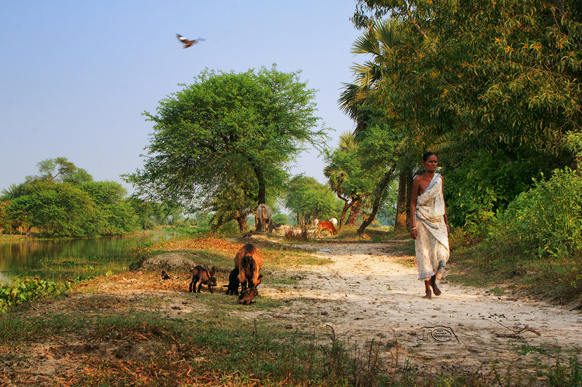 Gram Bangla A Village Of Bengal By Partha Roy Photo 52164516 500px