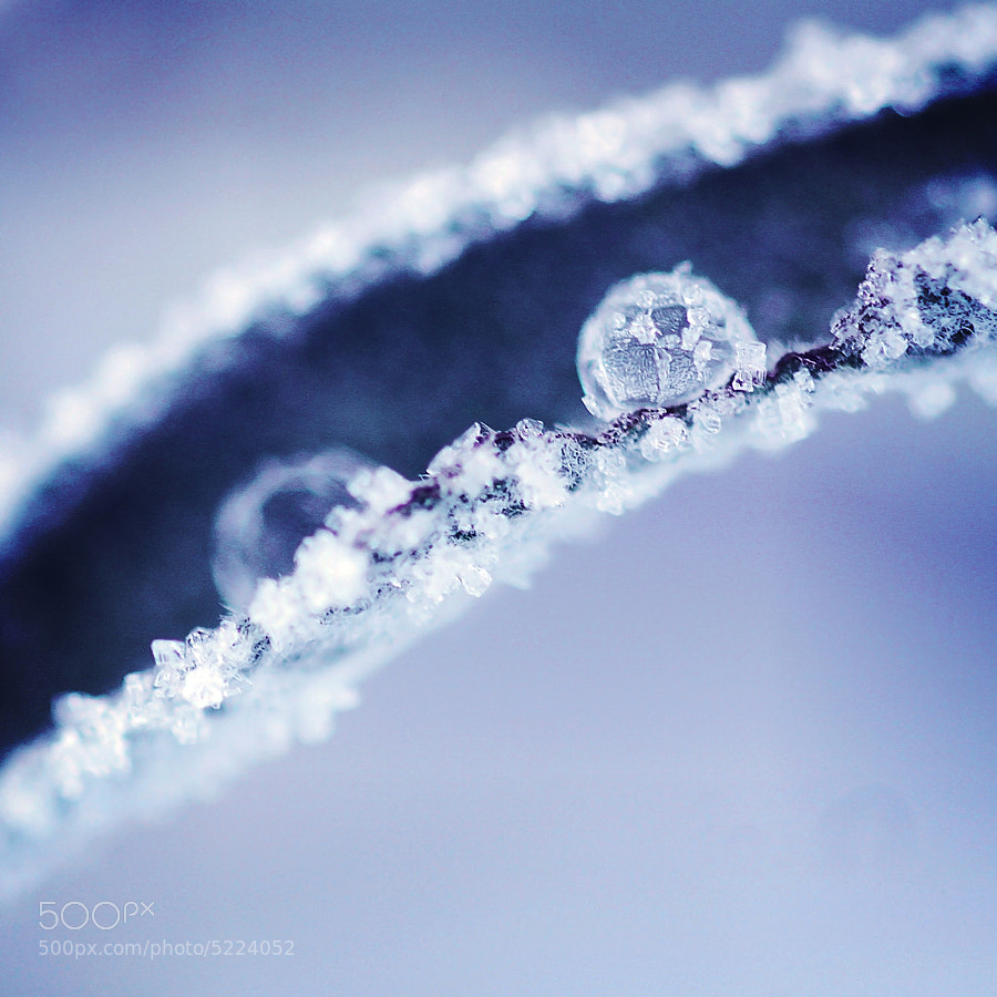 Frost by Mélissa Di Caro
