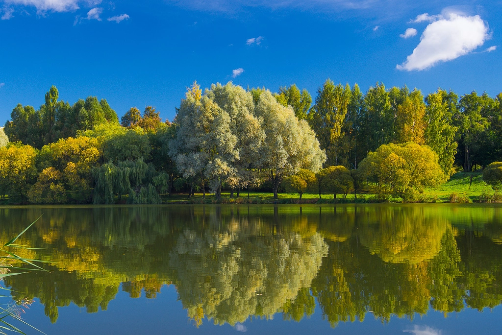 Early autumn by Alex Saluk on 500px.com