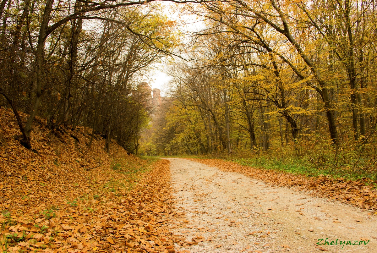 Beautiful autumn