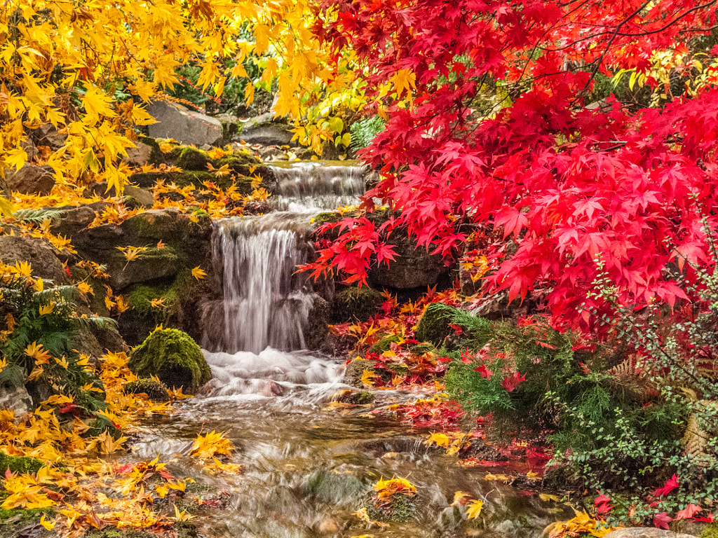 Colour Cascade by Paul Byrne on 500px.com