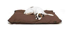 Ortho pet beds online