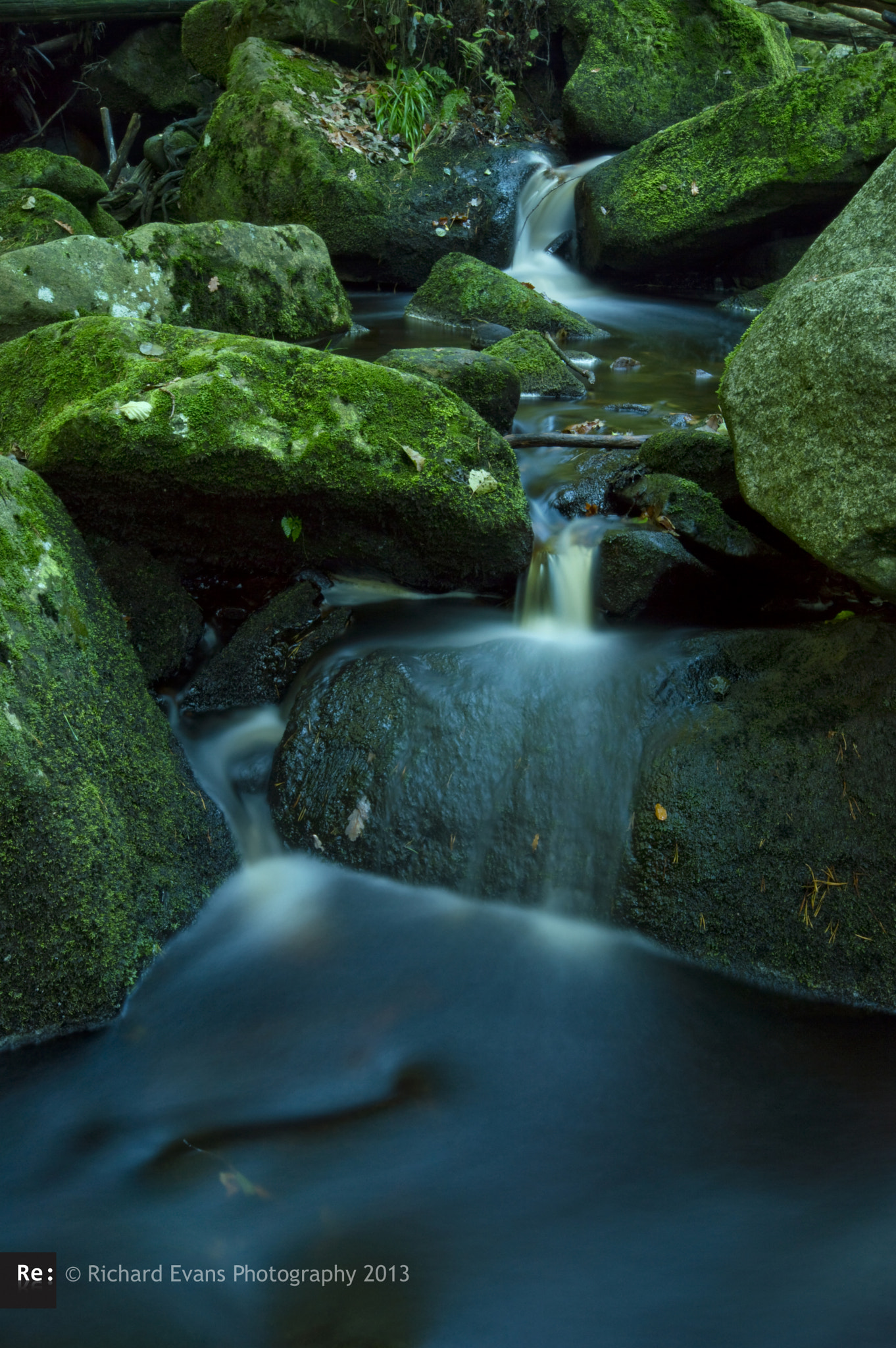 Padley Gorge