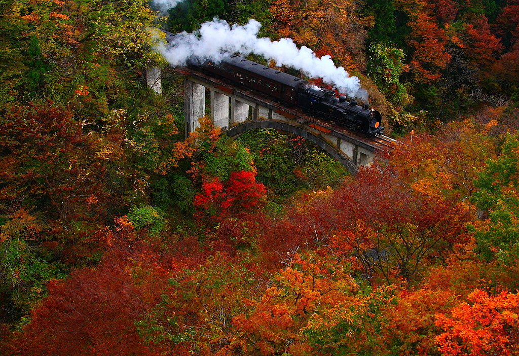 Autumn colors by Masaki Takashima on 500px.com