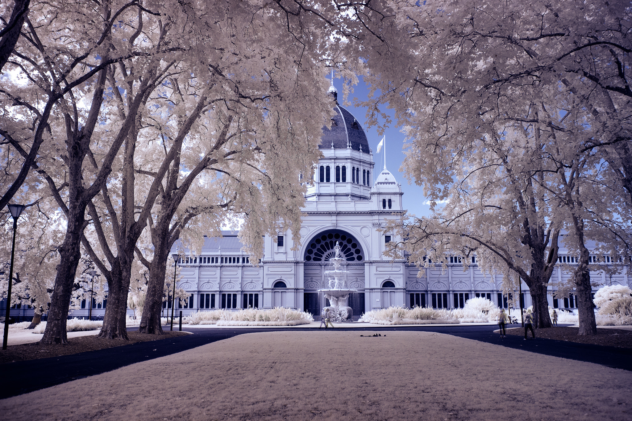 Old Melbourne Exhibition Centre infrared