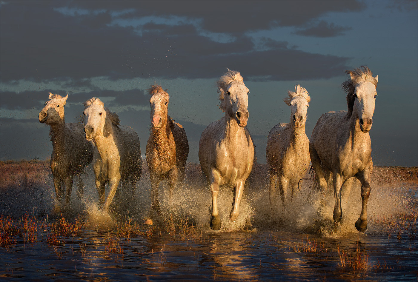 6 White Horses by Adrian Lines / 500px