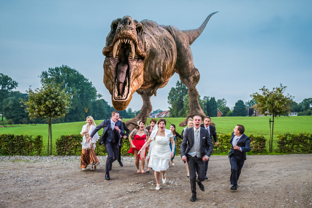 Rex at the Wedding by Steeve Vanengeland on 500px
