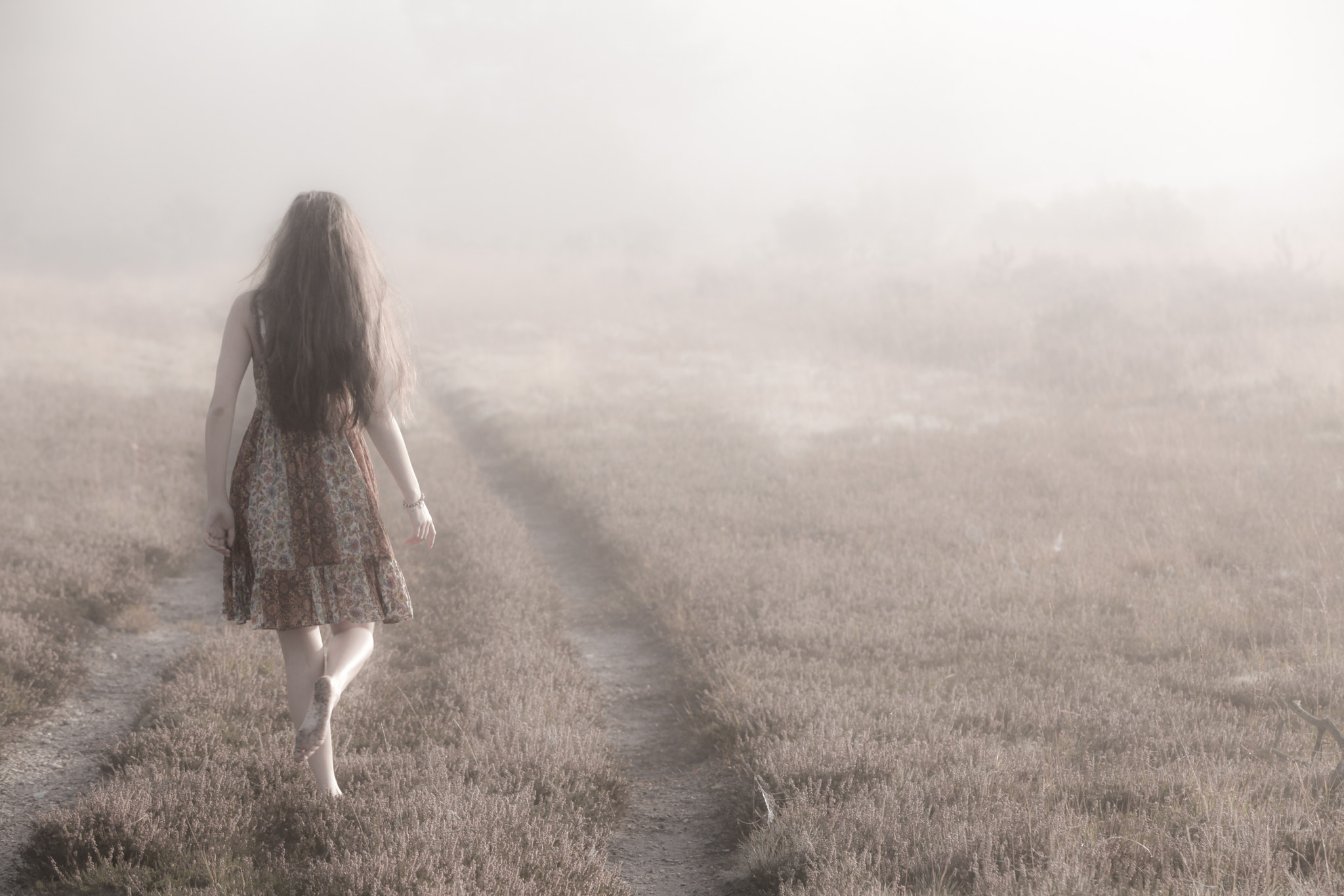 the road less travelled