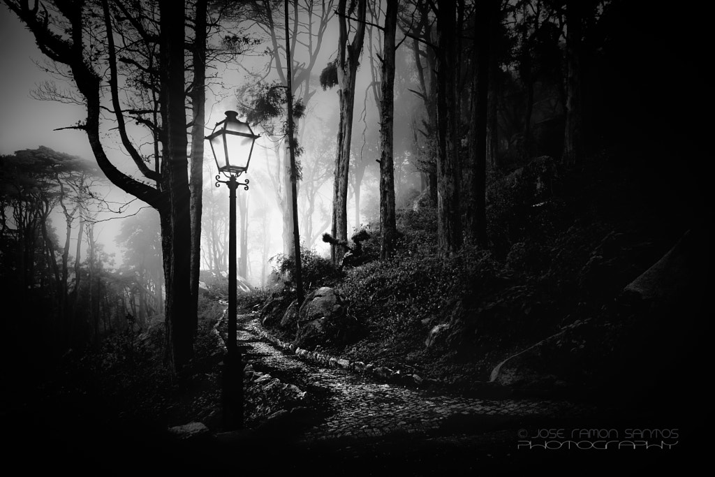 Foggy path by Jose Ramon Santos Mosquera on 500px.com
