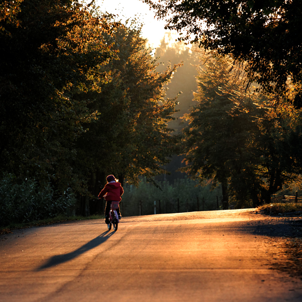 Autumn Flashback by Daniel Zaleski on 500px.com