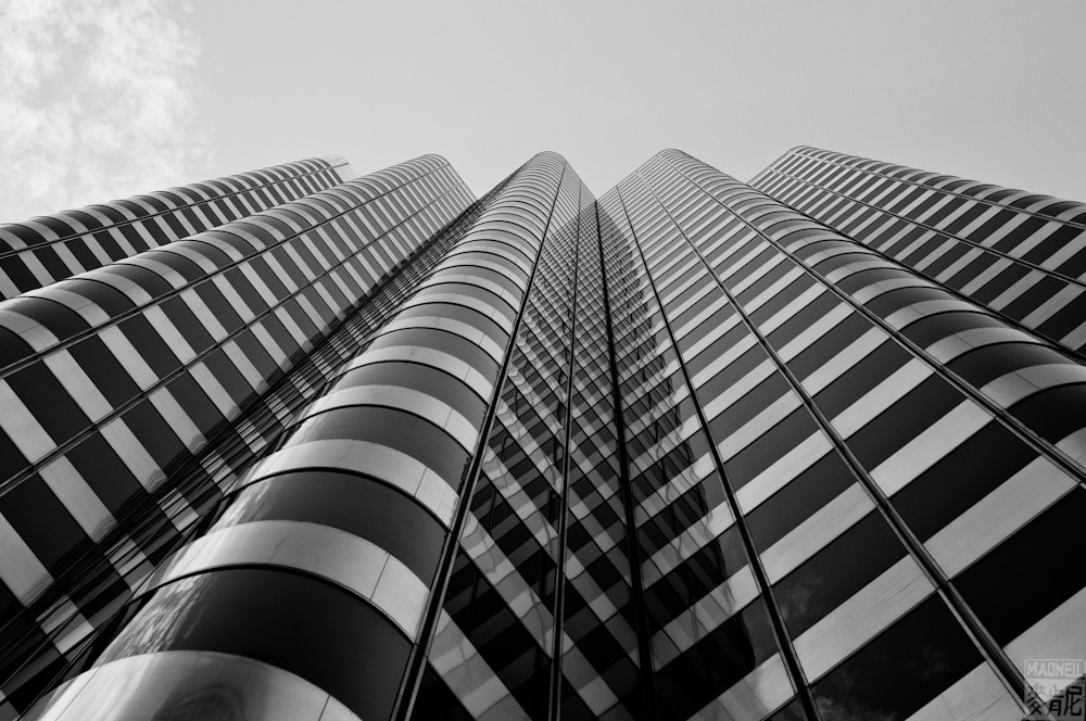 Along San Francisco's Market Street in the financial district