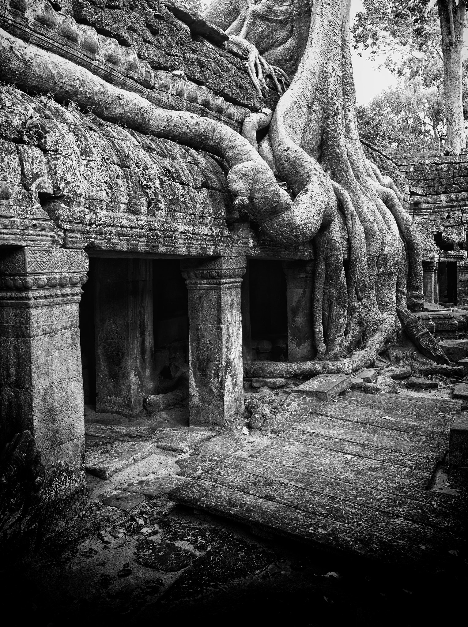 Ta Prohm