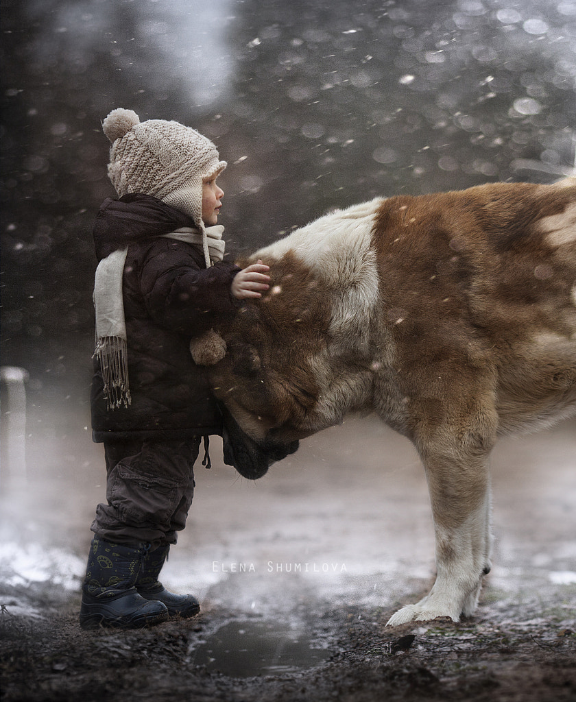 *** by Elena Shumilova on 500px