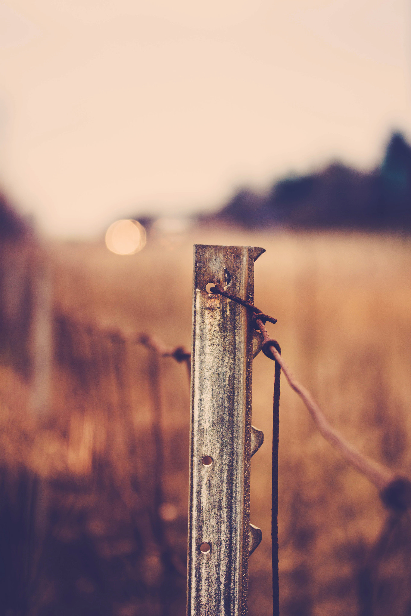 Fence