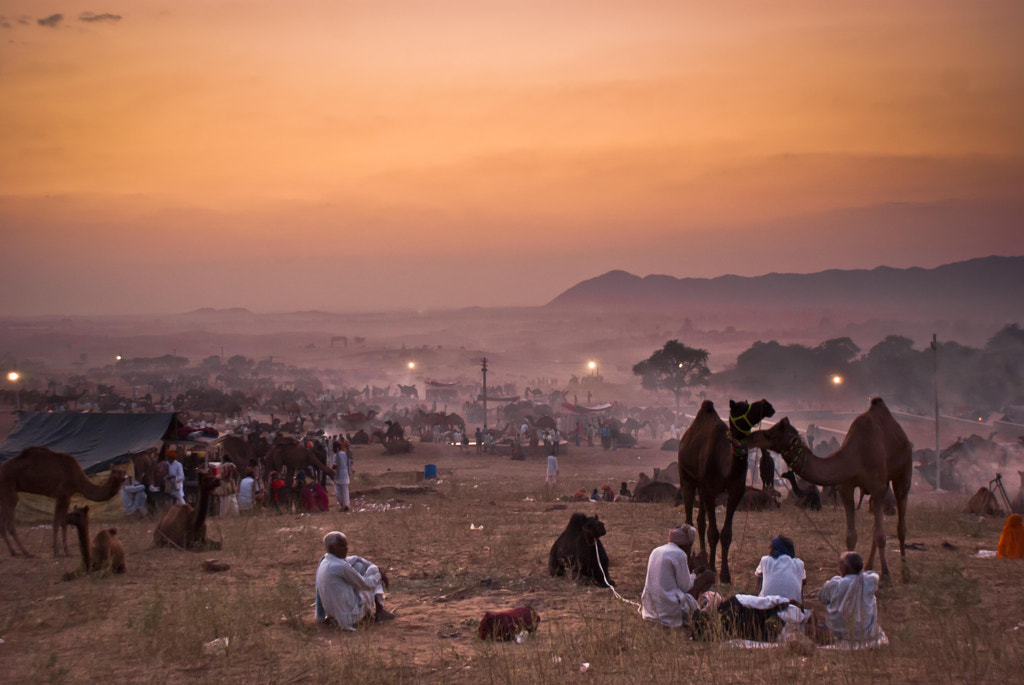 Photograph Camel Fair by Davied Meerstra on 500px