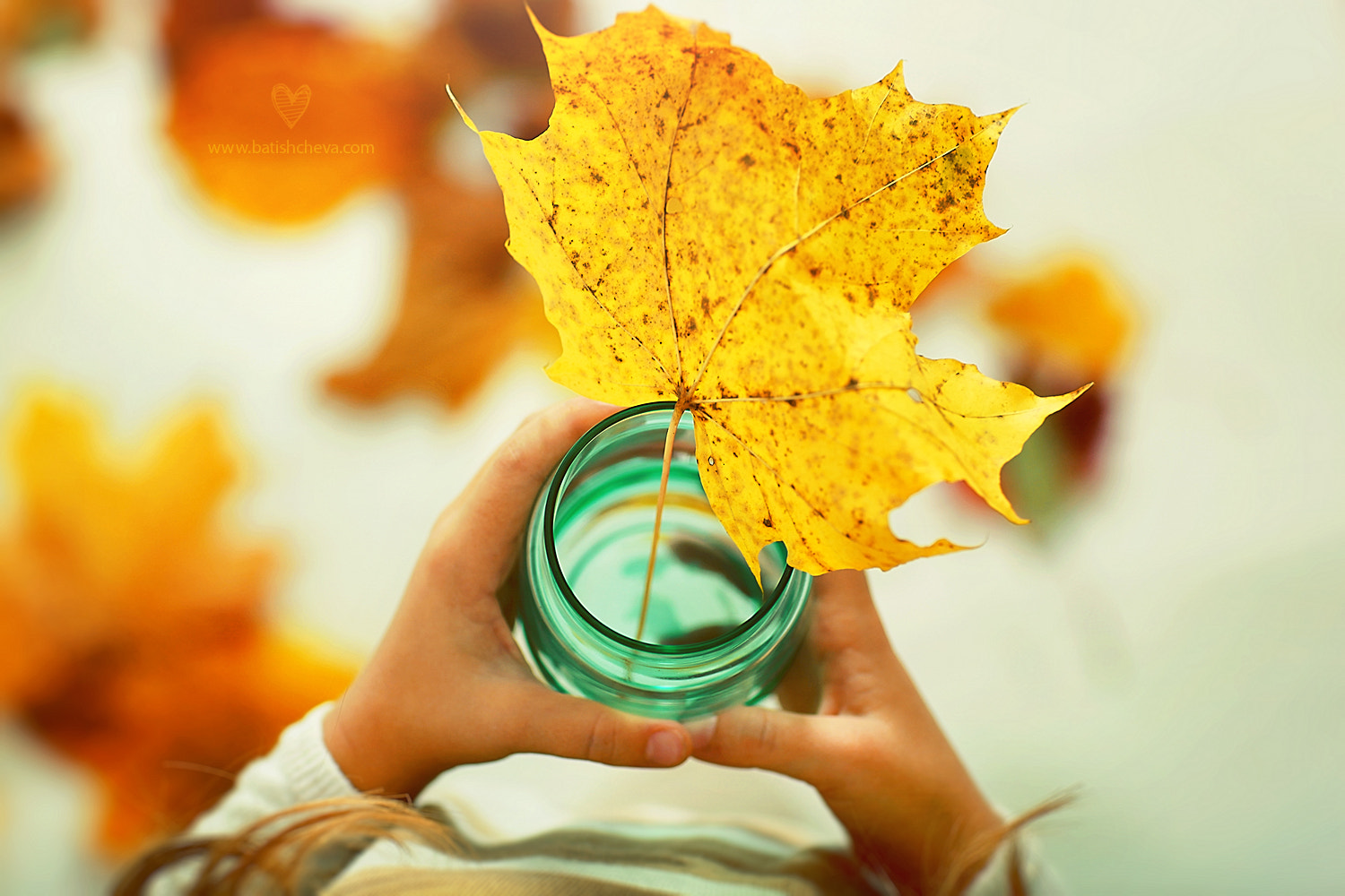 v2?sig=85bb91e68b44380bd52cd5f4563df084a