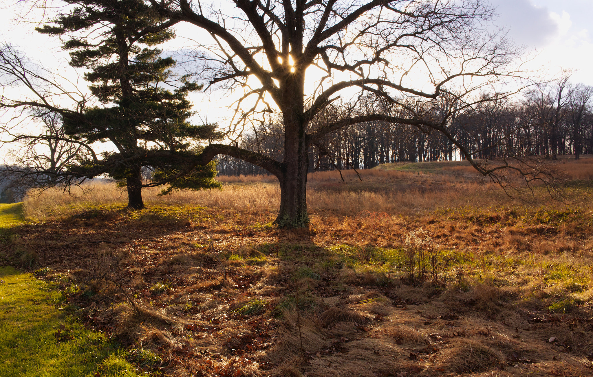 Valley Forge Pennsylvania