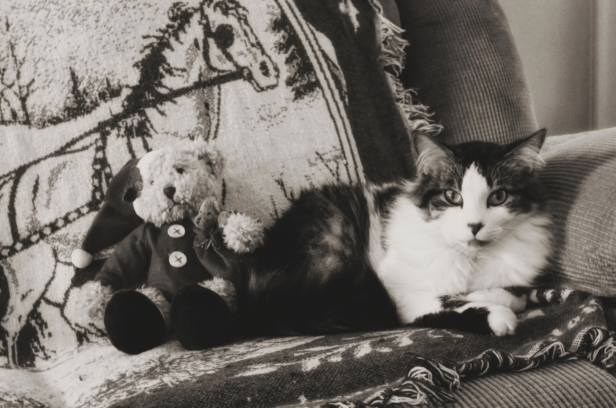 Sammy With His Christmas Bear