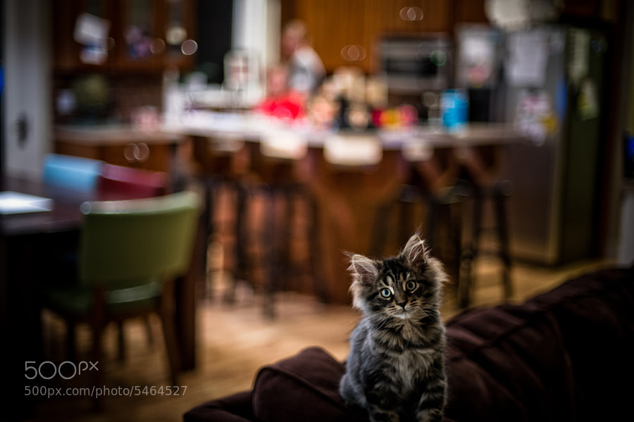 Time to Relax by Brooke Pennington