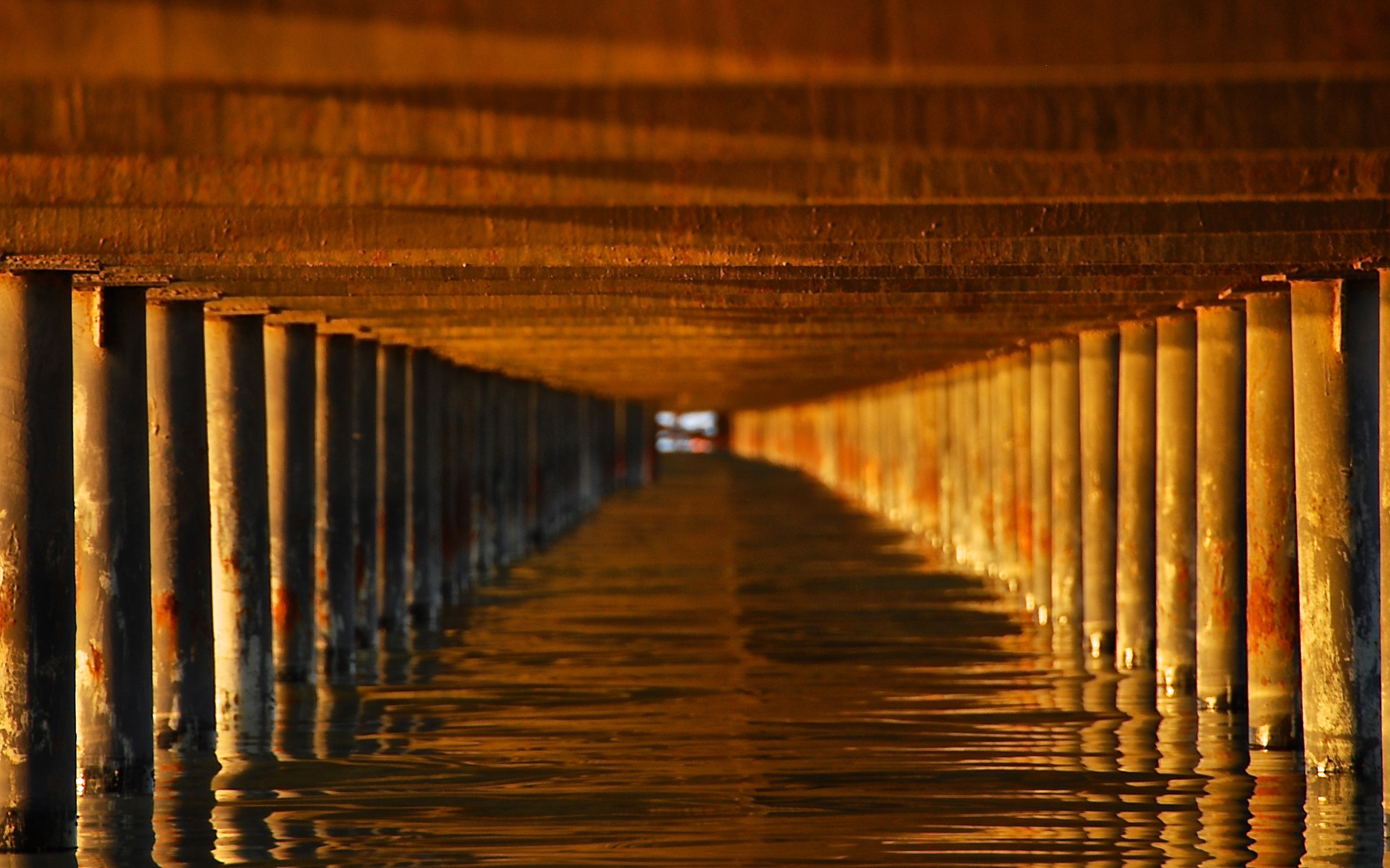 Underneath a Pier