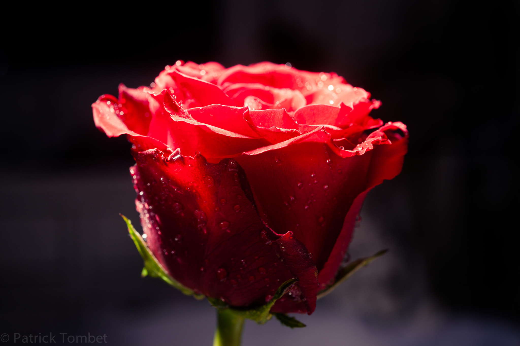 v2?sig=cf9df44341ca76ec135a77d0f34cc0003cdbd0c314f1f480f80d178e4c1d3d0f