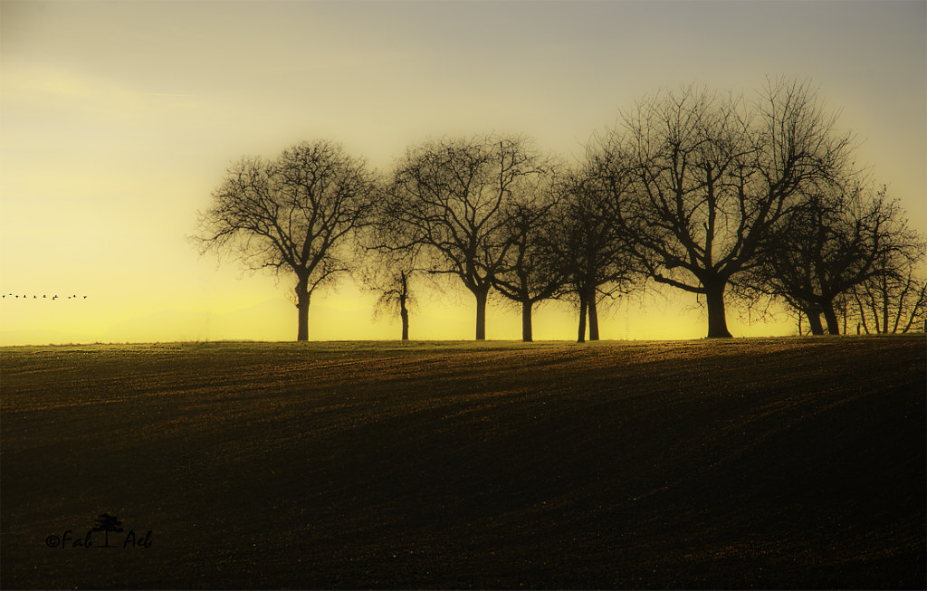 Alegría de un atardecer by Fabienne Aeberhard on 500px.com