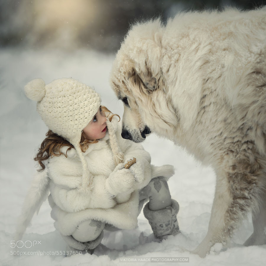 Alayah & Cache