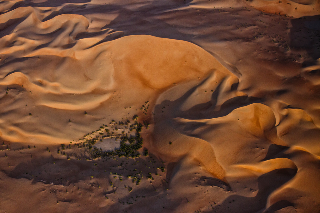 Empty Quarter Oasis by Beno Saradzic on 500px.com