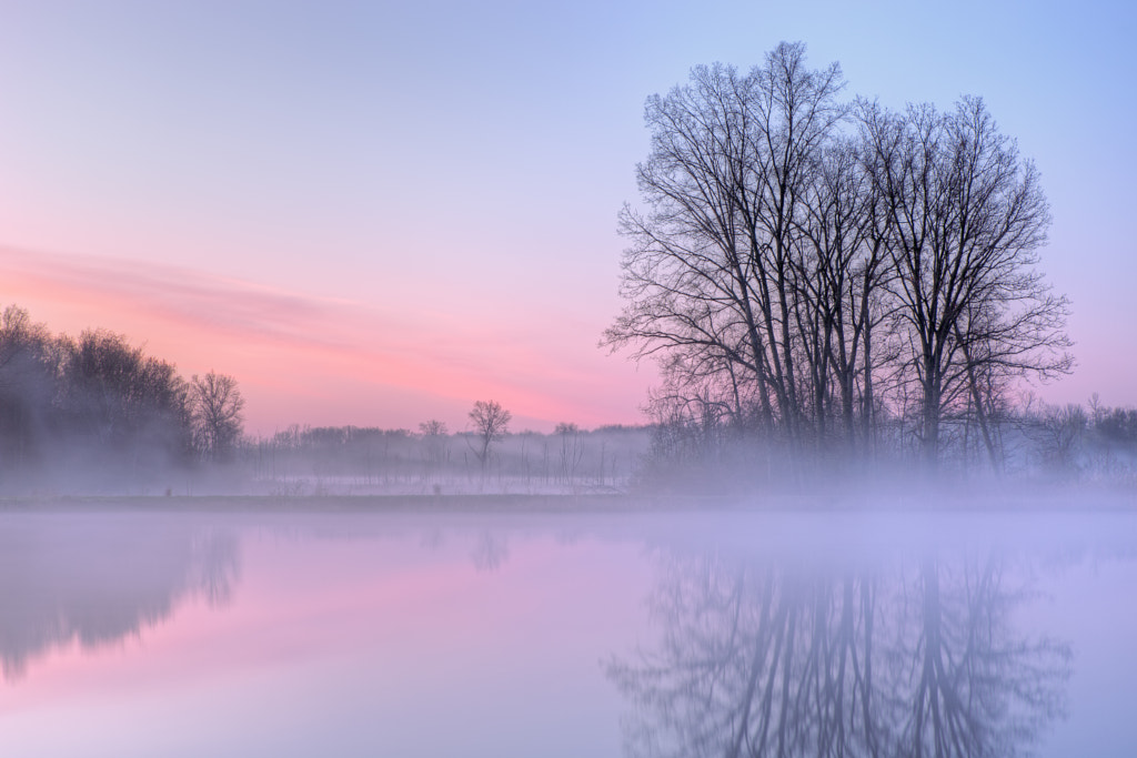 Dawn Jackson Hole Lake in Fog by Dean Pennala on 500px.com
