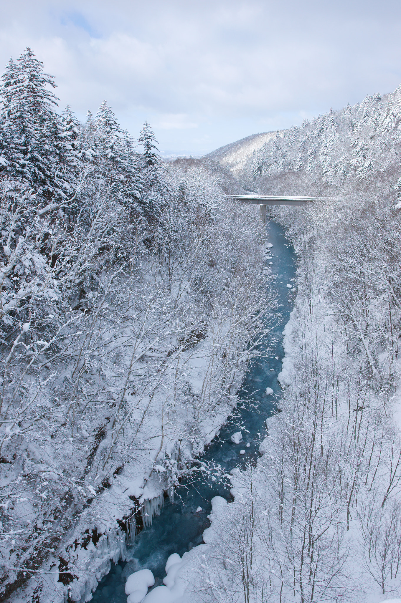Biei River in Winter