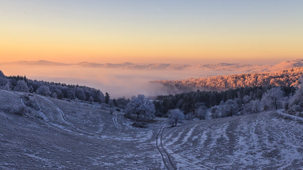 Winter by Michal Piatrov on 500px.com