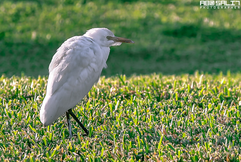 v2?sig=407e458ea59b85756d568eddd1497d530ea6b54e3aa14aebb0e8edc91996026d