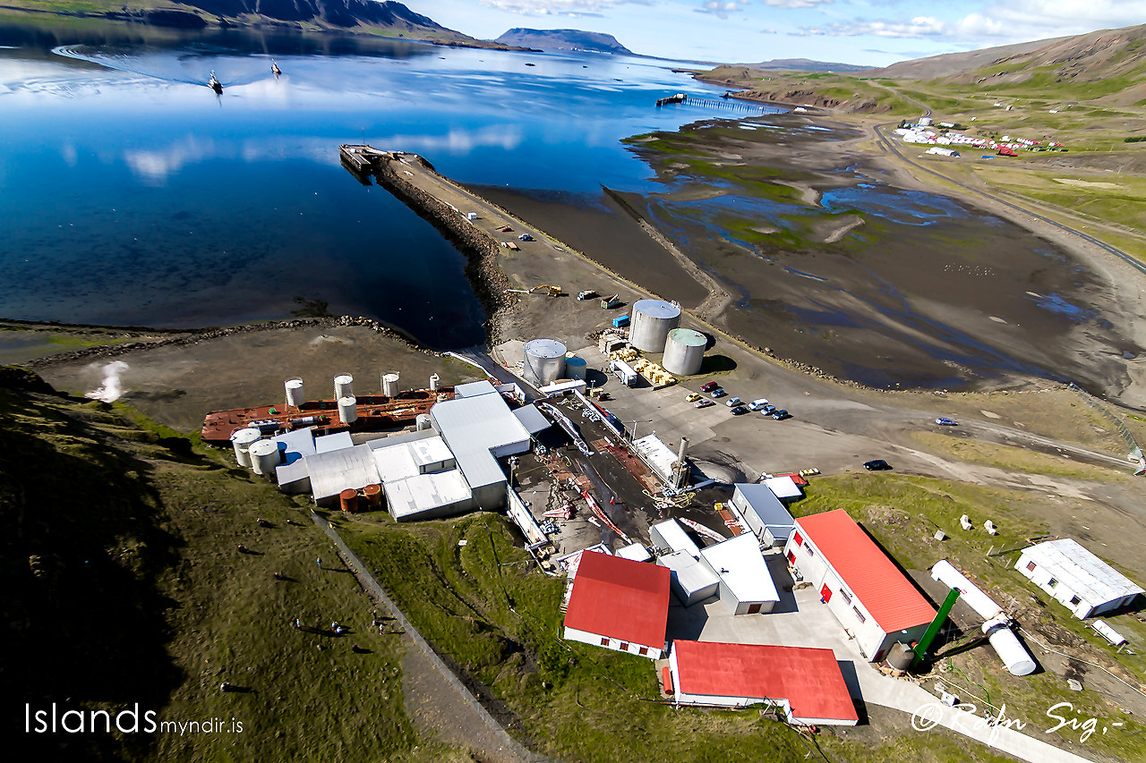 Whale station in Hvalfjordur (Whale bay) Iceland. You can see two