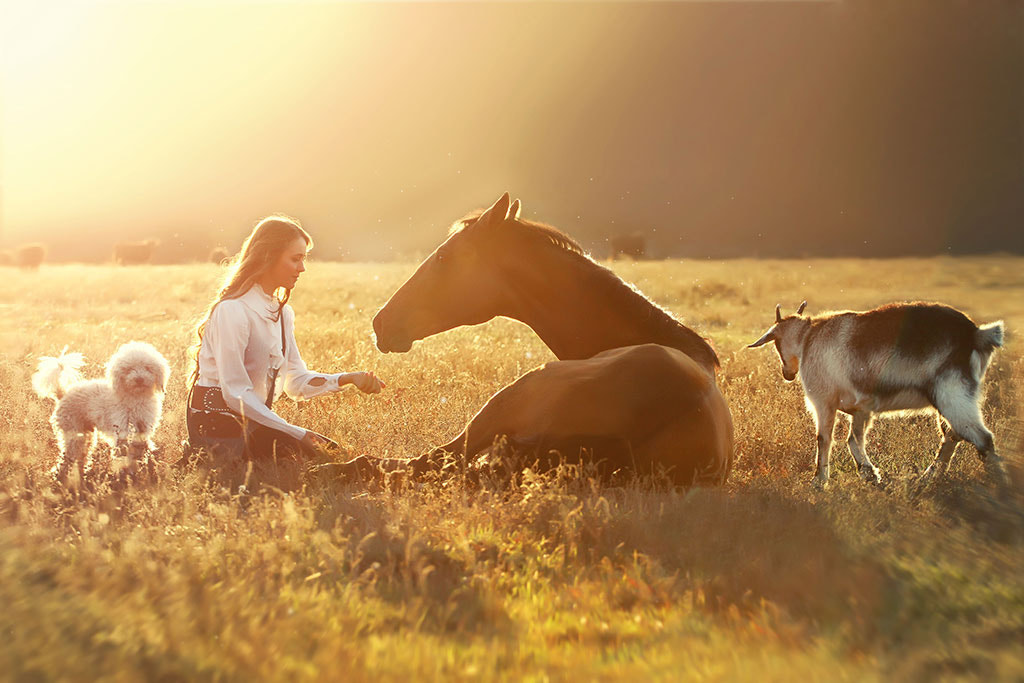 Their little magical world .. by Svetlana Golubenko on 500px.com