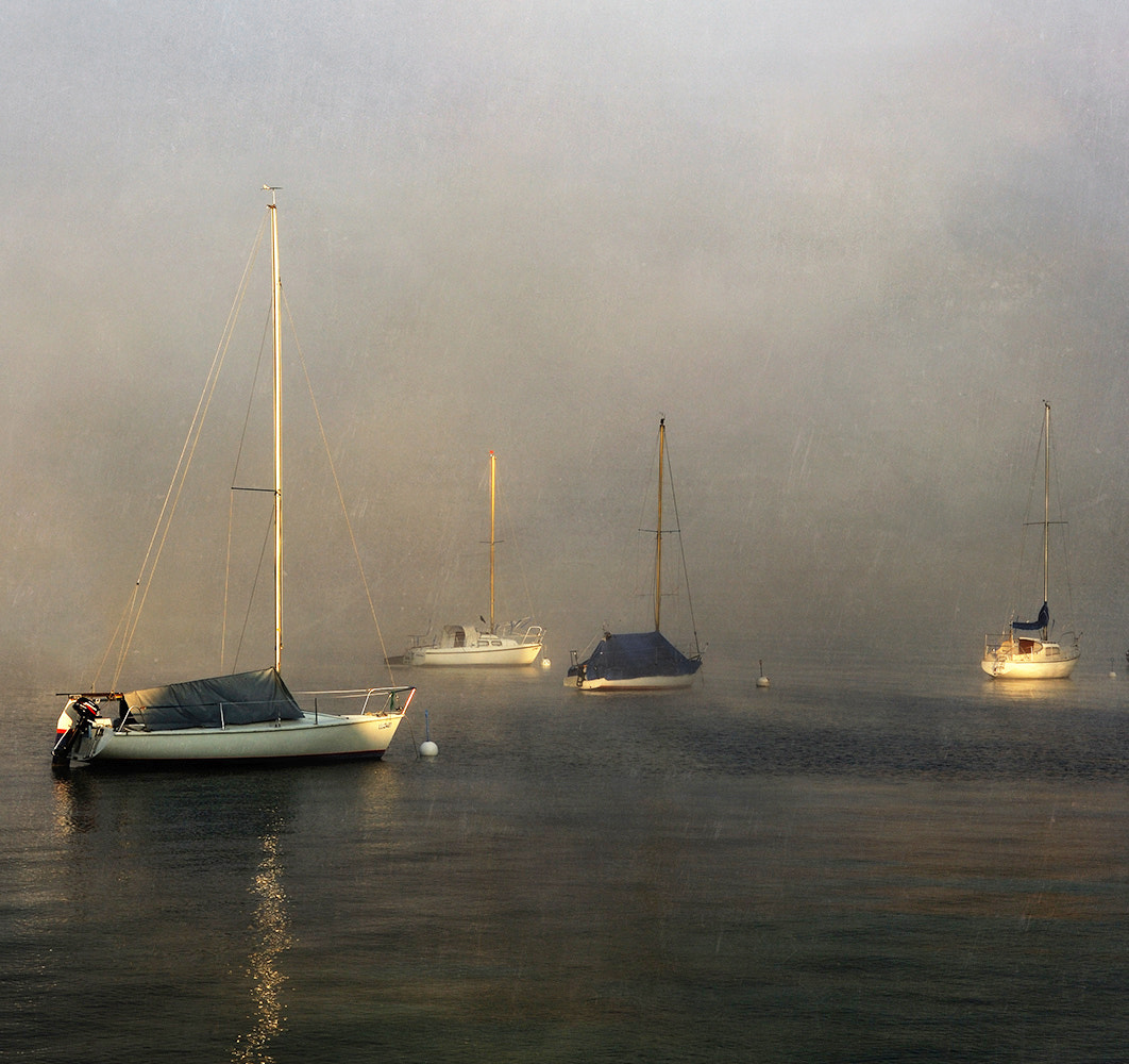 Résultat de recherche d'images pour "Daniela Gulda"