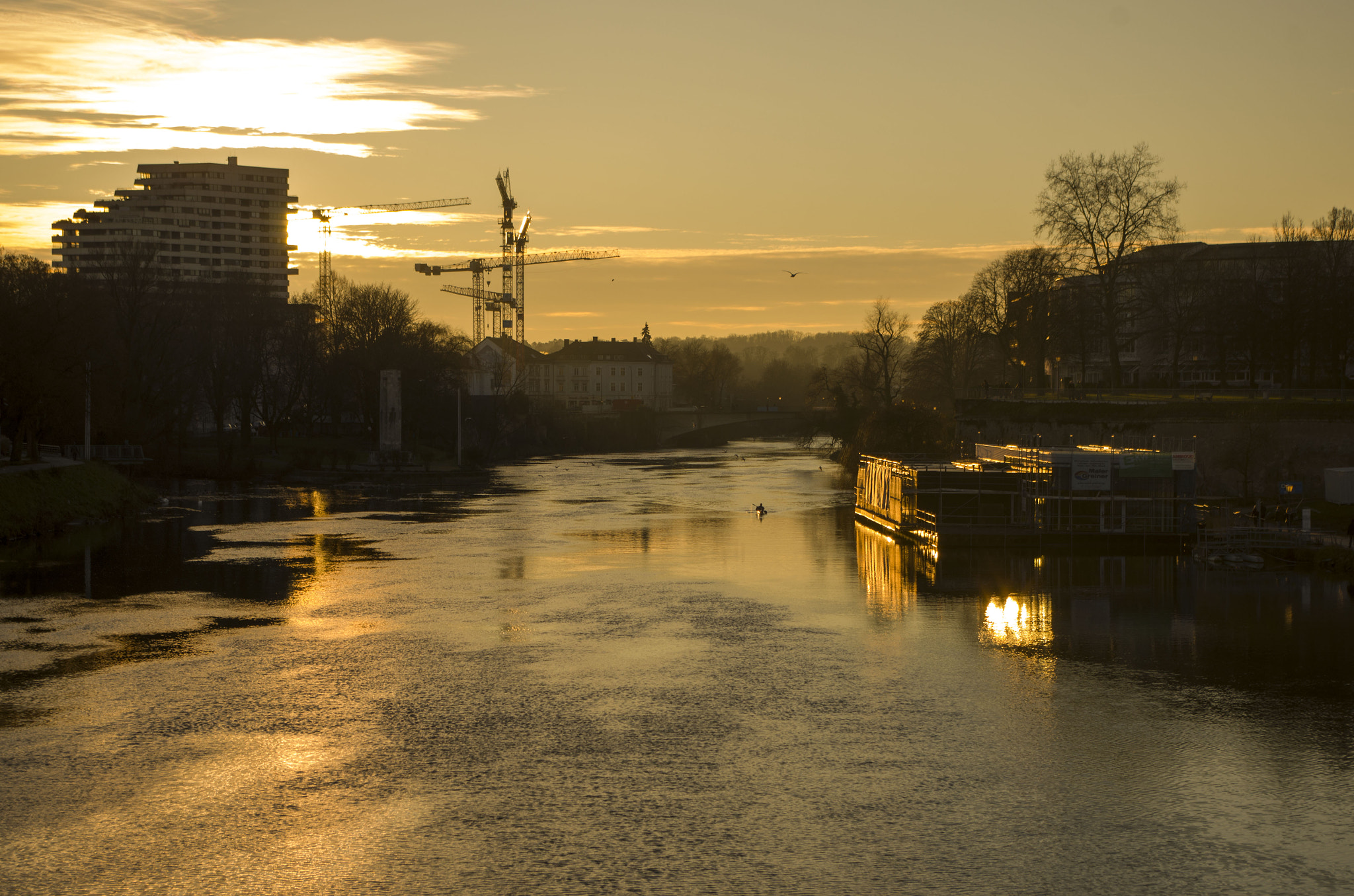 Golden Evening