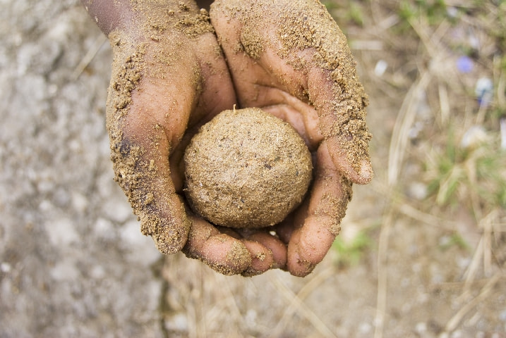 mud ball in hands of child by Benjamin Howell on 500px.com
