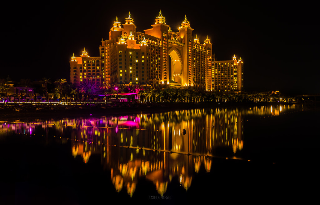 Golden Palm by Naslu on 500px.com