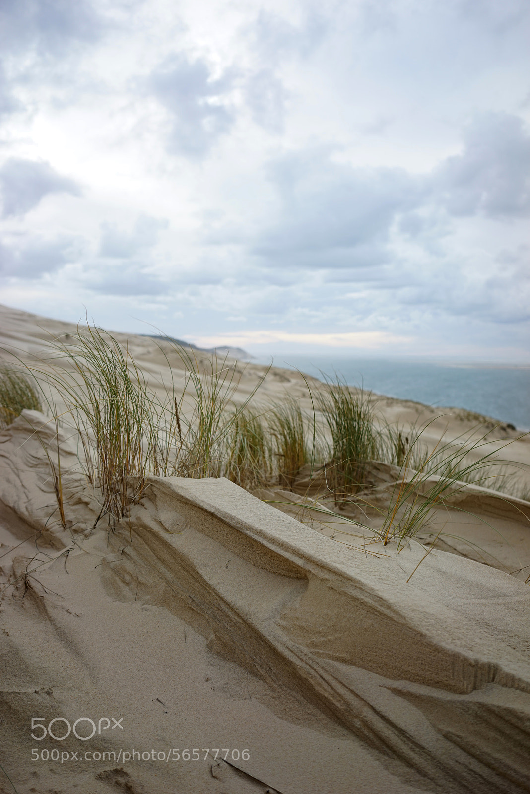 Sony a7R sample photo. Dune du pilat photography