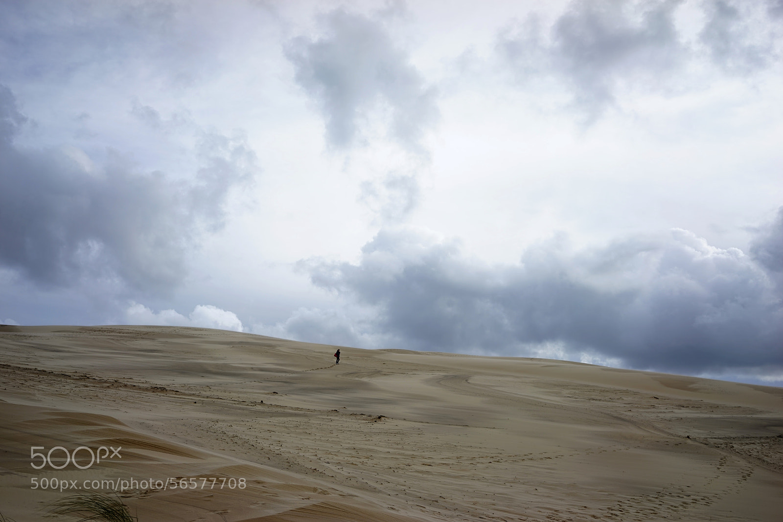 Sony a7R sample photo. Dune du pilat photography