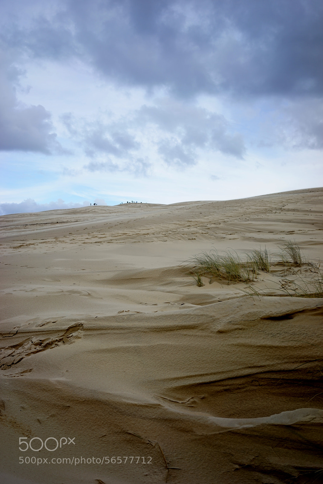 Sony a7R sample photo. Dune du pilat photography